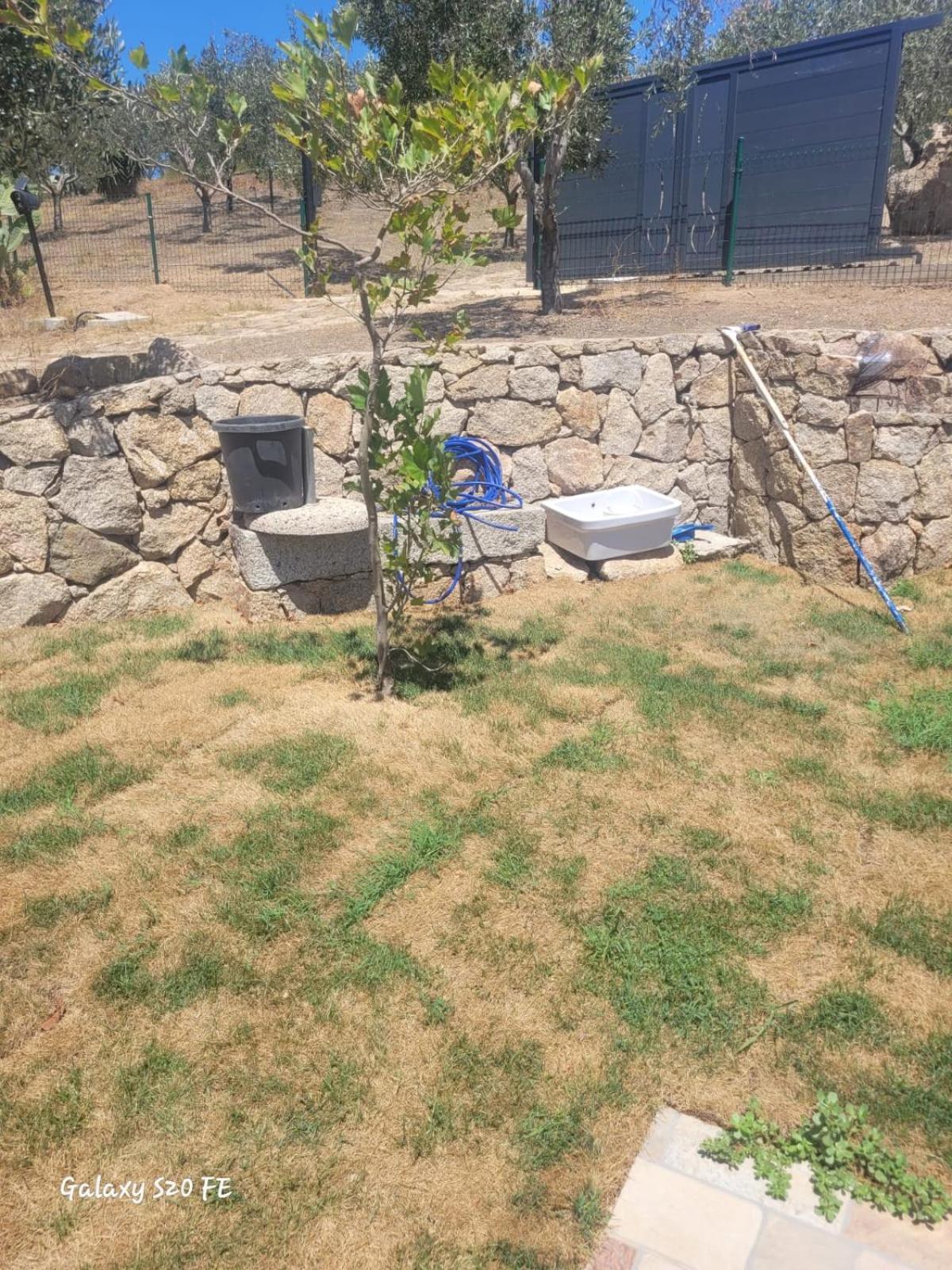 Residenza Degli Ulivi Apartamento Olbia Exterior foto